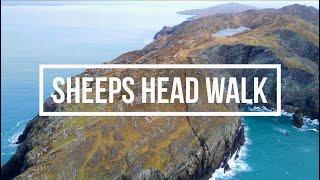 Sheeps Head Walk