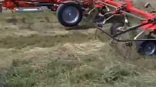 TD1648 6 star Massey Ferguson Tedder