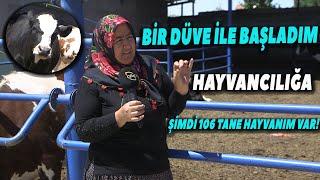 "Bir Düve ile Başladım, Şimdi 106 Hayvanım Var!" - Üreticinin Gözünden