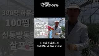 딱 2만원만 투자하세요 고추농사 달라집니다 #농사 #farming