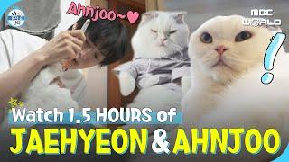 [SUB] 1.5 HOURS of AHN JAEHYEON's daily life with his cat Ahnjoo #AHNJAEHYEON