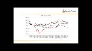 NCBA Cattlemen's Webinar Series - Today's Volatile Cattle Market and How to Navigate It