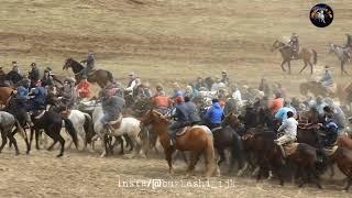 #бузкаши #козлодрание #таджикистан #buzkashi #tajikistan #kokpar #kokboru #ulaktartysh#buzkashi_tjk