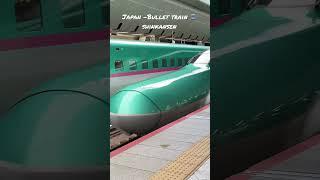 Japan- Bullet train arriving 