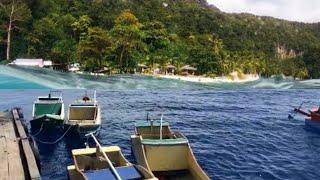 crue mancing tuna panel fishing di laut papua