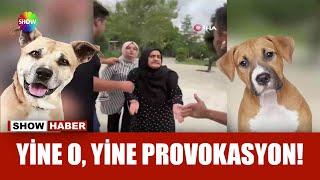 ''Köpeğe saldırdınız'' dedi, şov yaptı!