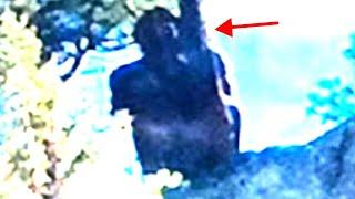 Three Super Creepy Bigfoot Faces Caught on Camera