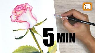 5 minute PINK ROSE  watercolour tutorial Watercolor painting for beginners  Step by step