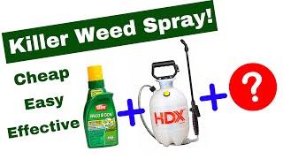 KILL WEEDS, NOT THE LAWN - Cheap, Easy & Effective Mix With A Magic Ingredient!