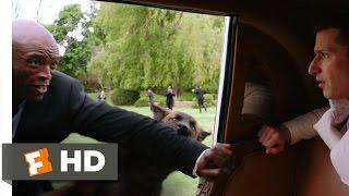 Popstar (2016) - Wolves Attack Seal Scene (8/10) | Movieclips