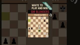 GM Kramnik vs Deep Fritz 10 - Mate in 1 Given Away By The World Champion