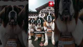 Switzerland: The Great St. Bernard Hospice #shorts #history #switzerland