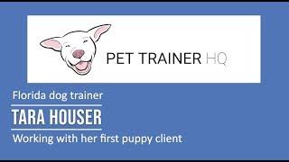 Florida dog trainer Tara Houser discusses her first dog training client - Pet Trainer HQ