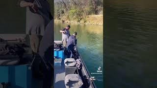 A Senior Reels In A Dandy Salmon While Fishing With SalmonSacRiver