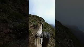 Walking through the clouds!  #travel #tenerife #nature #youtubeshorts #shortclip #short #views