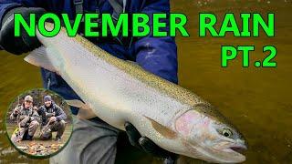 November Steelhead!! Non-Stop Action!