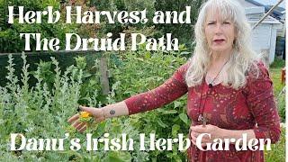 Herb Harvest and The Druid Path