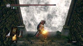 Dark Souls Remastered Falchion vs Artorias