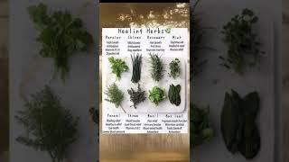 Healing Herbs | Herbs That Can Heal #healthyeating #herbs