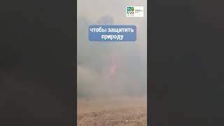 Мы благодарим сотрудников и сотрудниц ККЛ–ЕНФ,