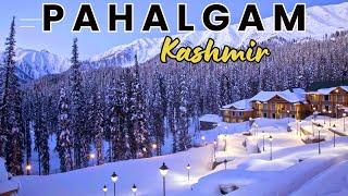 Kashmir 2024 | Pahalgam | Betaab Valley | Chandanwadi | Aru valley | Kashmir Vlog