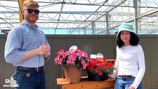 2023 California Spring Trials: Sunpatiens and Supercal Updates From Sakata Ornamentals