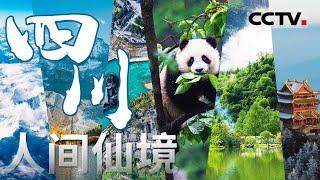 国宝四川：真正的旅游大省！一天体验春夏秋冬 中国“最卷”的地方在这！【CCTV纪录】