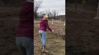 women tried horse trick and fail #shorts