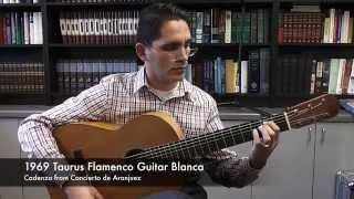 1969 Taurus Flamenco Guitar Blanca - E minor Cadenza by Joaquin Rodrgio