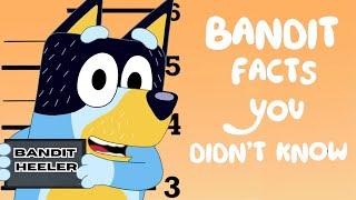 Bandit Facts You Should KNOW - BLUEY