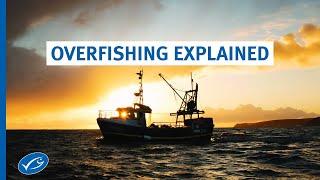 Overfishing explained by the Marine Stewardship Council (MSC)