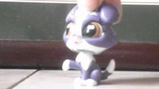 LPS : Chat with Sparkle Paws ep 2 ( brothers!)