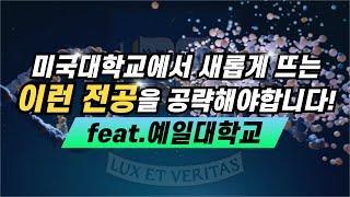 미국대학교에서 새롭게 뜨고 있는 이런 전공을 공략해야합니다! (Feat. 예일)