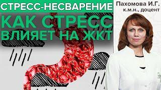 СТРЕСС И ПИЩЕВАРЕНИЕ. Есть ли связь?