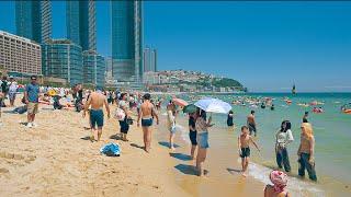 The Most Popular Travel Destination in Korea during the Summer Season | Haeundae Beach Walk 4K HDR