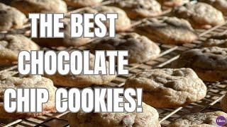 THE BEST Soft and Chewy Chocolate Chip Cookies!