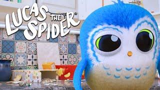 Arlo the Owl Makes a BIG MESS for Lucas | Lucas The Spider