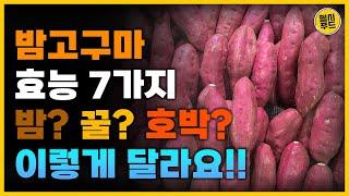 밤고구마 효능과 부작용 | 꿀고구마vs호박고구마 차이