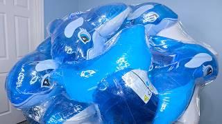 Eleven Inflatable Blue Whales Inside a Huge Beach Ball