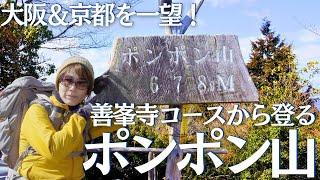 ポンポン山 王道の善峯寺コースから山頂を目指す福寿草 ヘタレ夫婦登山 Vol.120