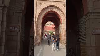 Junagarh fort Bikaner#sarojsaini652 #junagarhfort #bikanertrip #familytrip #love #song