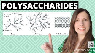 A-level Biology POLYSACCHARIDES Biological Molecules-Learn these carbohydrates structure + function