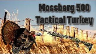 Mossberg 500 --Tactical Turkey—Added Turkey-killing Power! Part 2