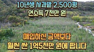 경북 의성 귀농 귀촌 추천 연소득 7천만원 10년생 사과 과수원 매매