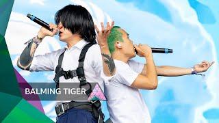 Balming Tiger - Trust Yourself (Glastonbury 2024)