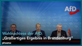 AfD zur Wahlnachlese der Landtagswahlen in Brandenburg