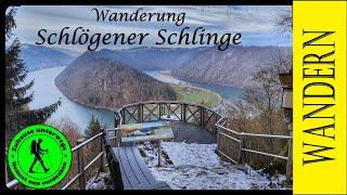 Wanderung Schlögener Schlinge