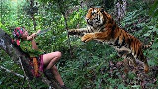 Tiger beasts attack, jungle hunters, jungle dangers and survival skillsn - phượng pú