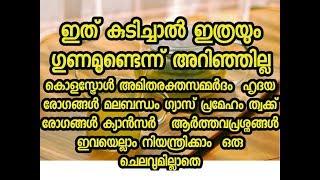 വീട്ടിൽ തന്നെ ഇത്ര വലിയ ഔഷധം വെച്ചിട്ട് രോഗിയായി ജീവിക്കുന്നത് എന്തിന് ന ന