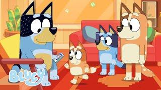 Rushing Around with the Heelers   | Exciting Games with Bluey | Bluey